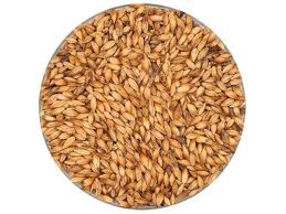 CARAMUNICH® malt TYPE 2 - Weyermann Germany