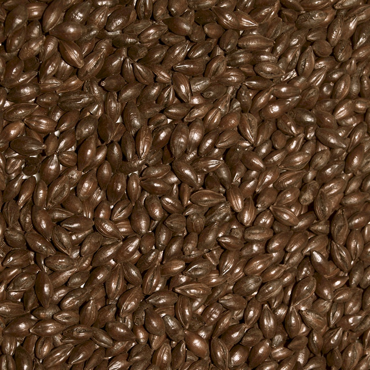 Roasted Barley