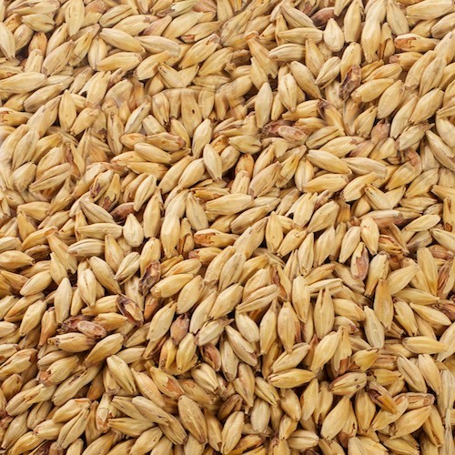 CARAAMBER® malt