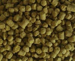 HALLERTAU German aroma hops - crop 2020