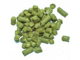 English aroma variety Golding hops - 2022