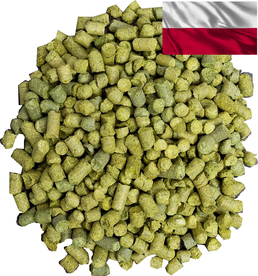 Poland hops Iunga (Junga)