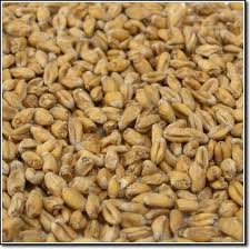 Wheat Malt pale (Пшеничен светъл малц) Гърция